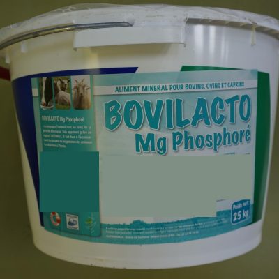 BOVILACTO Mg Phosphoré: Leckeimer/seau à lécher